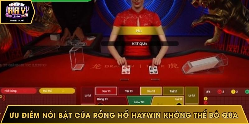 Ưu điểm nổi bật của Rồng Hổ Haywin không thể bỏ qua 