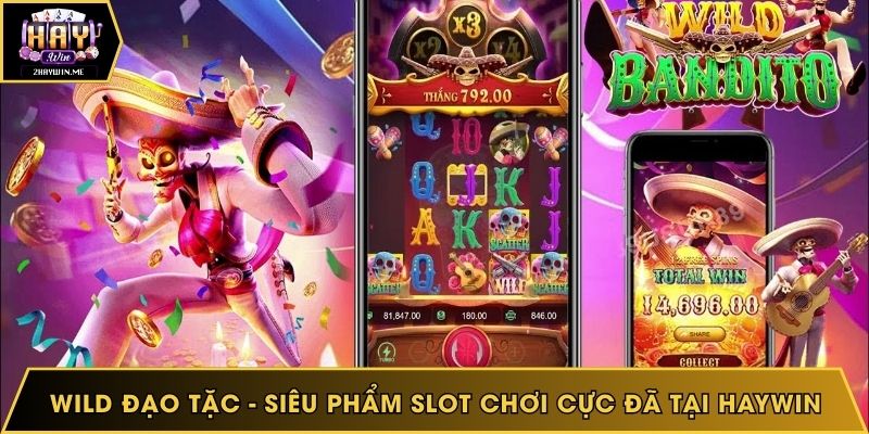 Wild đạo tặc